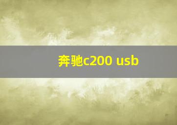 奔驰c200 usb